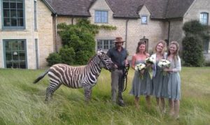 wedding with zebra